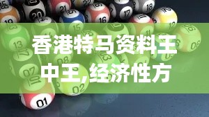 香港特马资料王中王,经济性方案解析_专业款5.987-7