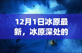 冰原深处的惊喜与小巷美食驿站，最新探索报告（12月1日）