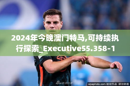 2024年今晚澳门特马,可持续执行探索_Executive55.358-1