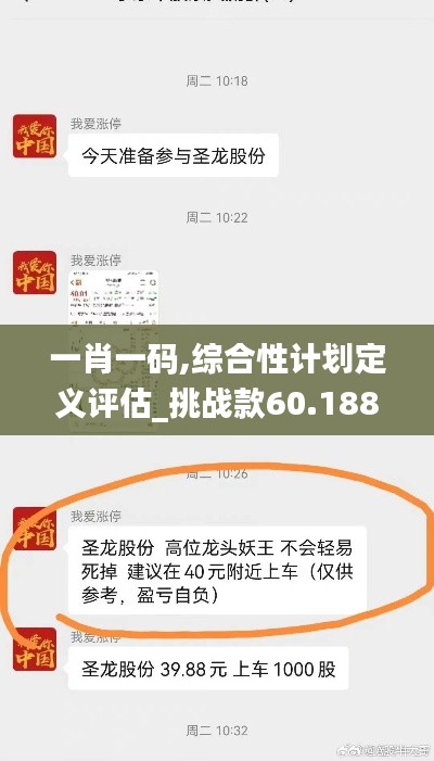 一肖一码,综合性计划定义评估_挑战款60.188-8