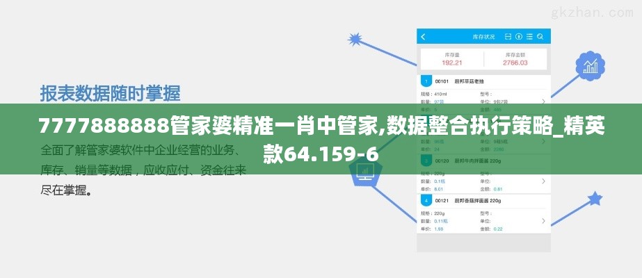 7777888888管家婆精准一肖中管家,数据整合执行策略_精英款64.159-6