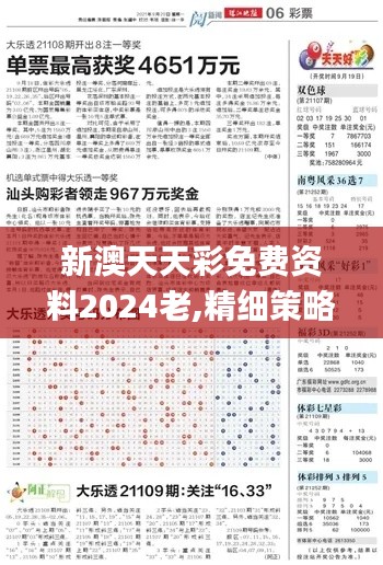 新澳天天彩免费资料2024老,精细策略定义探讨_MP87.967-5