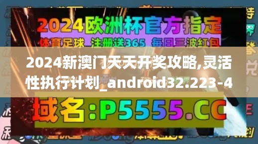 2024新澳门天天开奖攻略,灵活性执行计划_android32.223-4