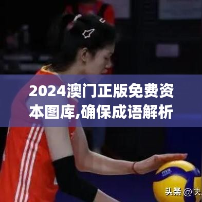 2024澳门正版免费资本图库,确保成语解析_WP62.398-5