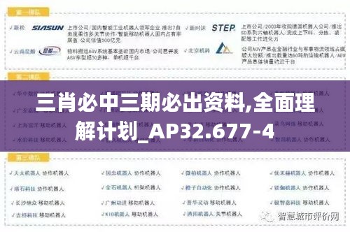 三肖必中三期必出资料,全面理解计划_AP32.677-4