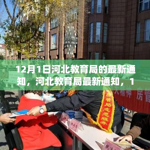 河北教育局12月1日最新通知，教育政策解读与操作指南