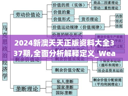 2024新澳天天正版资料大全337期,全面分析解释定义_WearOS16.818-1