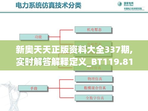 新奥天天正版资料大全337期,实时解答解释定义_BT119.811-8