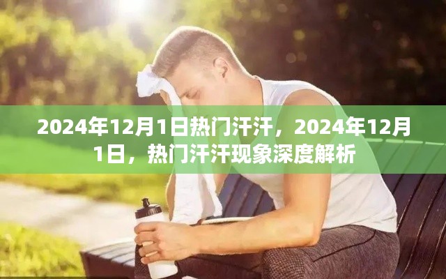 深度解析，热门汗汗现象在2024年12月1日的盛行