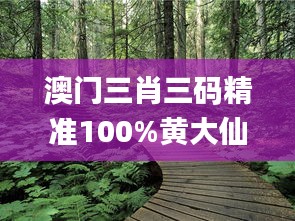 澳门三肖三码精准100%黄大仙337期,高速解析方案响应_桌面版20.908-9