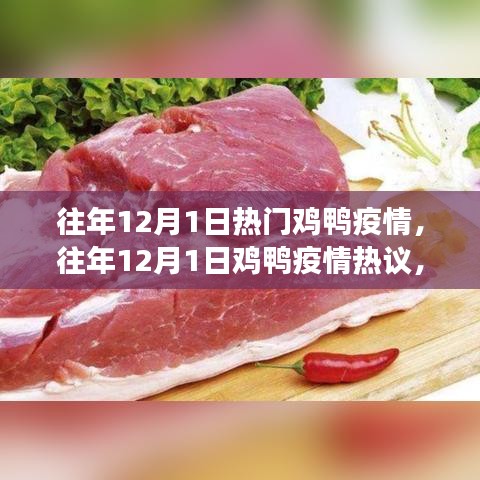 深度剖析，历年12月1日鸡鸭疫情热议与观点解析