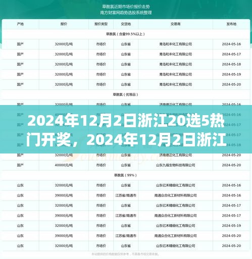 2024年12月2日浙江20选5热门开奖，2024年12月2日浙江20选5彩票热门开奖分析与预测