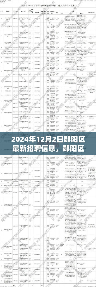 2024年12月 第1000页