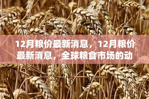 全球粮食市场最新动态，12月粮价分析与展望