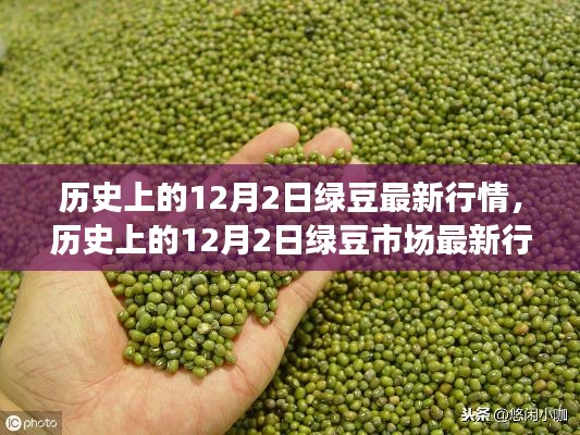 历史上的12月2日绿豆行情概览，最新市场动态速递