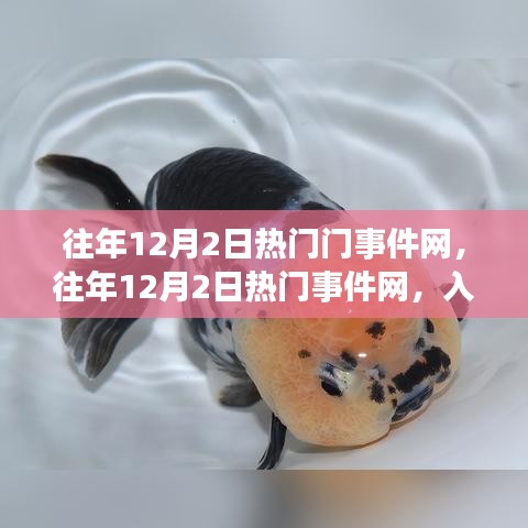 往年12月2日热门事件网概览，入门指南与操作教程