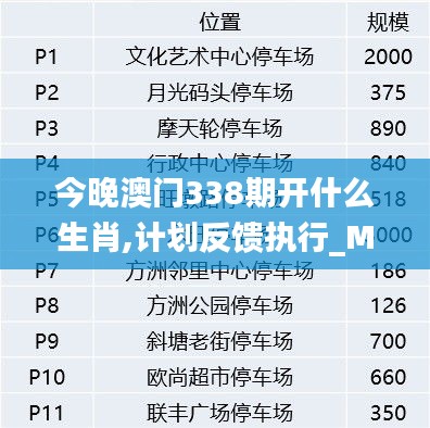 今晚澳门338期开什么生肖,计划反馈执行_Max58.933-5