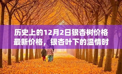 银杏叶下的温情时光，银杏树价格更新与温馨故事回顾