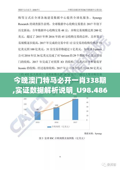 今晚澳门特马必开一肖338期,实证数据解析说明_U98.486-5