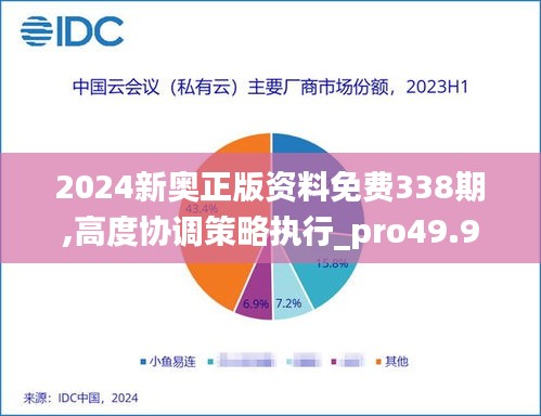 2024新奥正版资料免费338期,高度协调策略执行_pro49.963-4