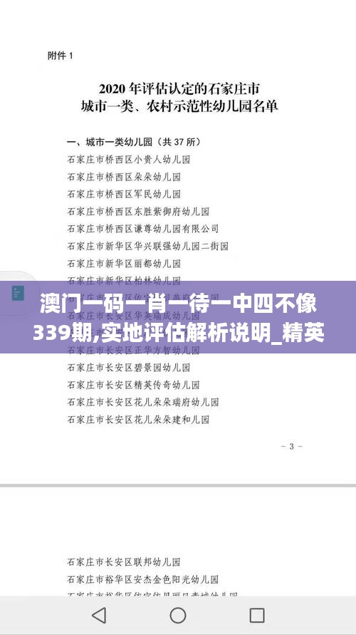 澳门一码一肖一待一中四不像339期,实地评估解析说明_精英版76.290-3