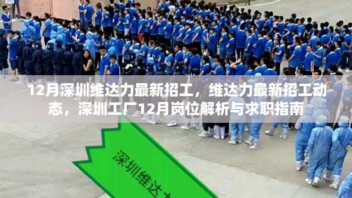 深圳维达力最新招工动态与岗位解析，求职指南（12月版）