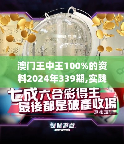 澳门王中王100%的资料2024年339期,实践数据解释定义_基础版3.830-6