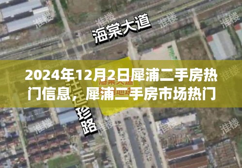 犀浦二手房市场深度解析，热门信息观察与反思（2024年12月版）