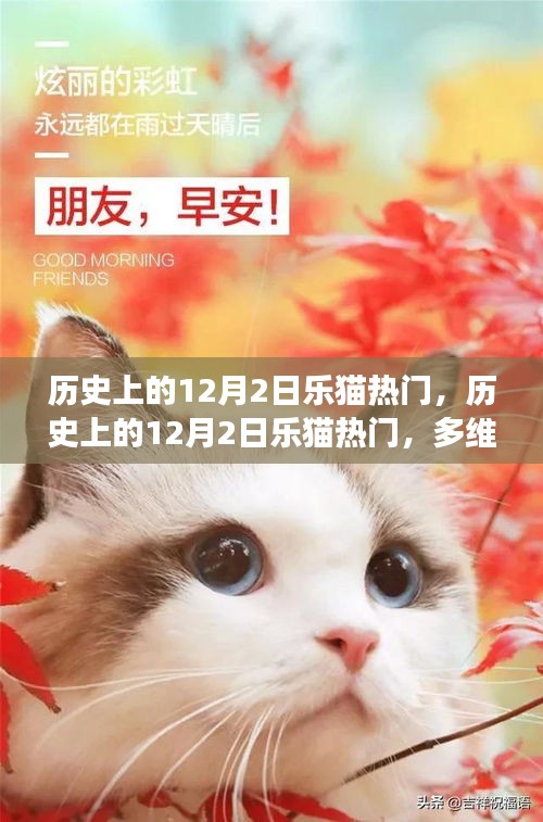 多维度视角下的观点碰撞，历史上的乐猫热门事件回顾