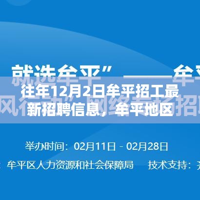 牟平地区历年12月2日招工最新招聘信息深度解析，时代背景下的就业趋势风向标