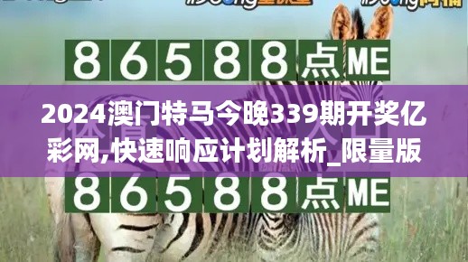 2024澳门特马今晚339期开奖亿彩网,快速响应计划解析_限量版54.267-4