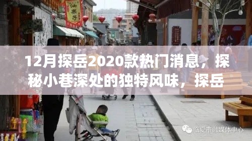 探岳2020款热门消息揭秘，独特风味与小巷特色小店之旅