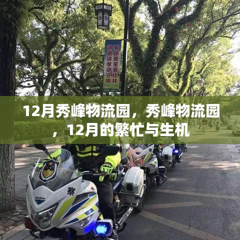 2024年12月 第953页