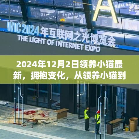 励志之旅，从领养小猫到人生新篇章，拥抱变化的温暖故事（2024年领养小猫最新）