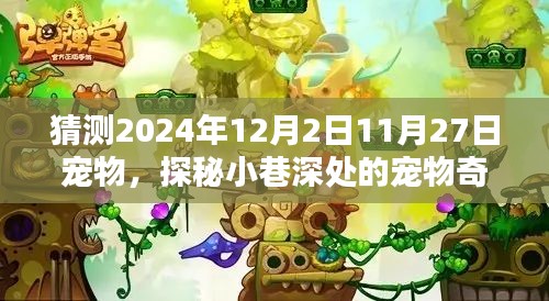 时光巷弄的宠物奇缘，探秘2024年12月宠物乐园的神秘面纱