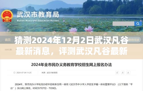 武汉凡谷最新消息解析，特性、体验、竞品对比与目标用户群体分析