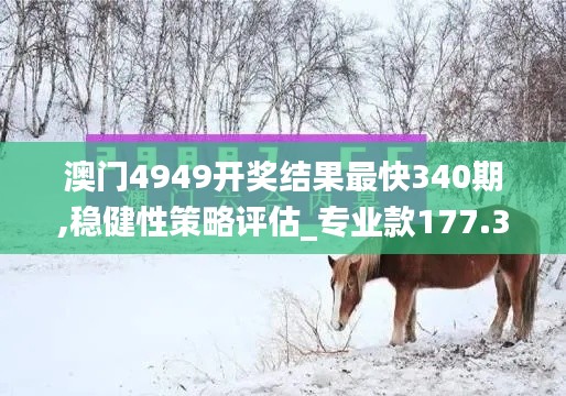 澳门4949开奖结果最快340期,稳健性策略评估_专业款177.327-3