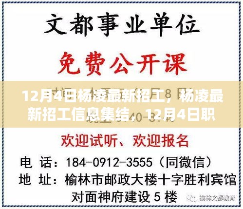 杨凌最新招工信息集结，12月4日职位大放送，寻找你的理想工作！