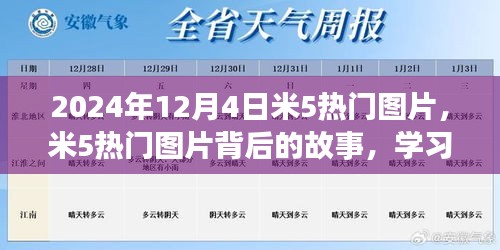 米5热门图片背后的故事，学习变化的力量与自信的绽放（2024年12月4日）