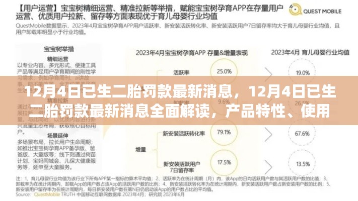 最新二胎罚款消息解读，产品特性、用户体验与目标用户分析