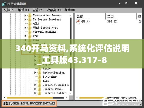 340开马资料,系统化评估说明_工具版43.317-8