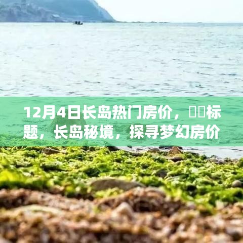 长岛秘境，探寻梦幻房价，邂逅宁静港湾的十二月心灵之旅。