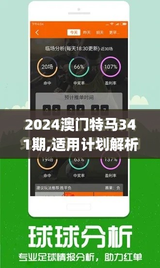 2024澳门特马341期,适用计划解析_网红版1.939