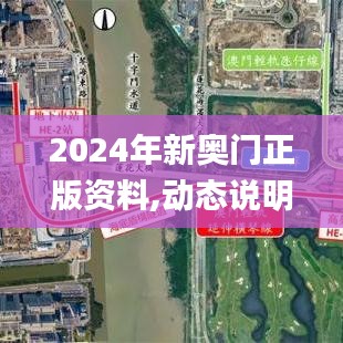 2024年新奥门正版资料,动态说明分析_WP8.922