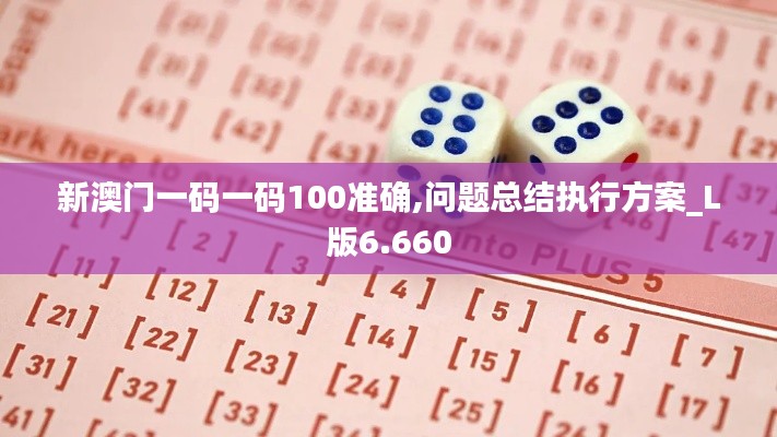 新澳门一码一码100准确,问题总结执行方案_L版6.660