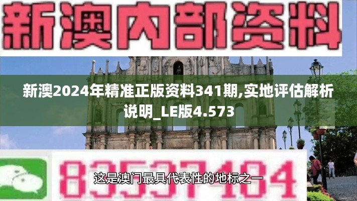 新澳2024年精准正版资料341期,实地评估解析说明_LE版4.573