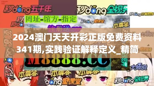 2024澳门天天开彩正版免费资料341期,实践验证解释定义_精简版9.241