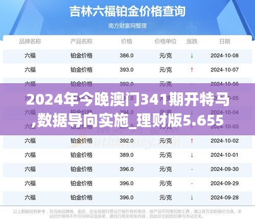 2024年今晚澳门341期开特马,数据导向实施_理财版5.655