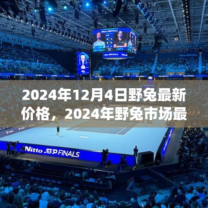 2024年野兔市场最新价格探析，观点阐述与市场洞察