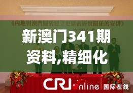 新澳门341期资料,精细化执行计划_开发版13.917